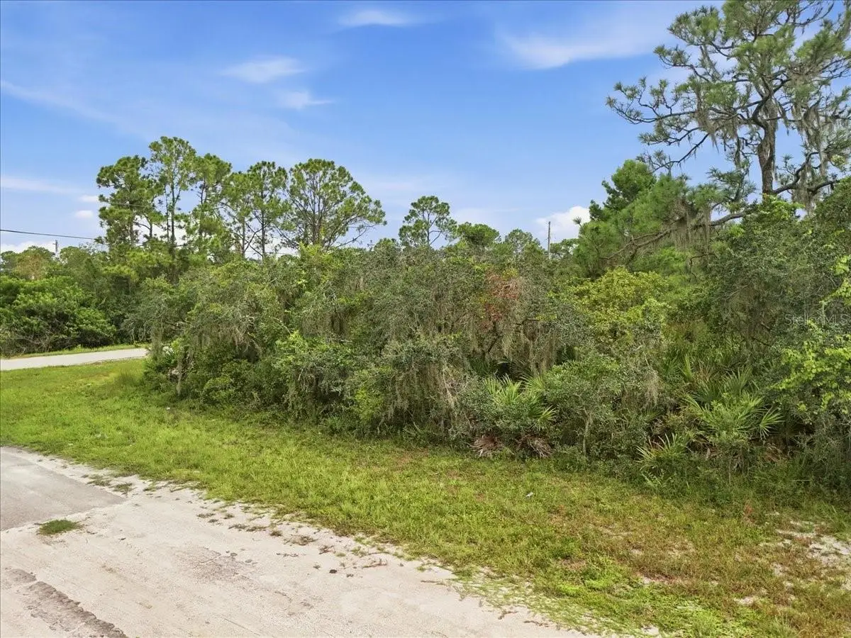 213 Marlin Street Nw, Lake Placid, FL 33852 - #1