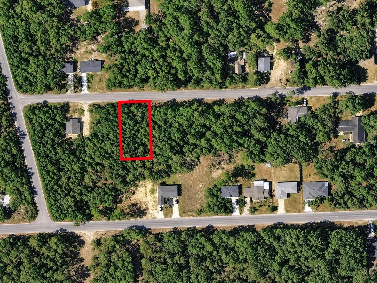 Se 170 Court, Ocklawaha, FL 32179 - #1
