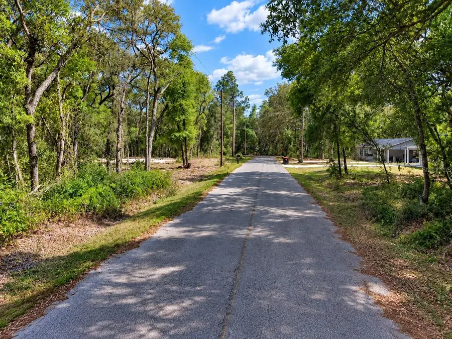 Se 170 Court, Ocklawaha, FL 32179 - #3