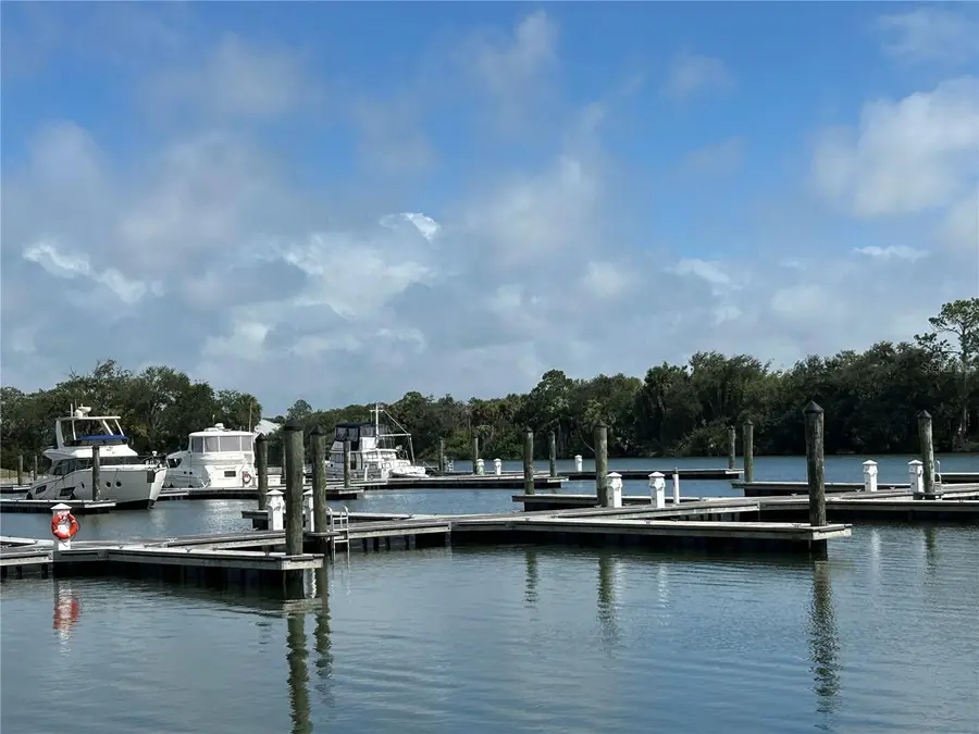 46 Del Palma Drive, Palm Coast, FL 32137 - #3