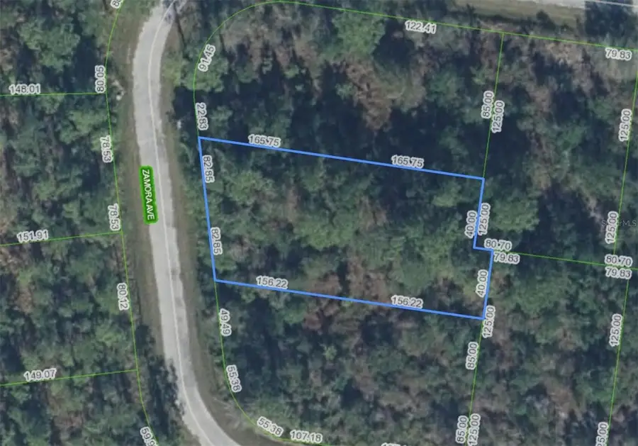 8114 Zamora Avenue, Sebring, FL 33872 - #3