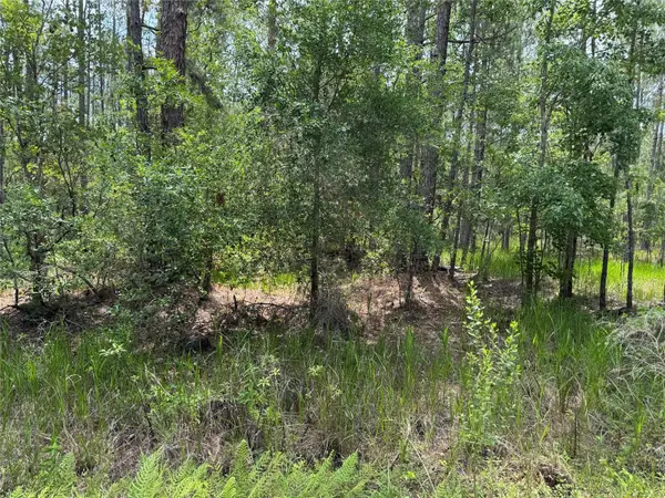 SW 143 Place, OCALA, FL 34473