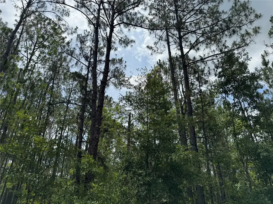 SW 143 Place, Ocala, FL 34473 - #2