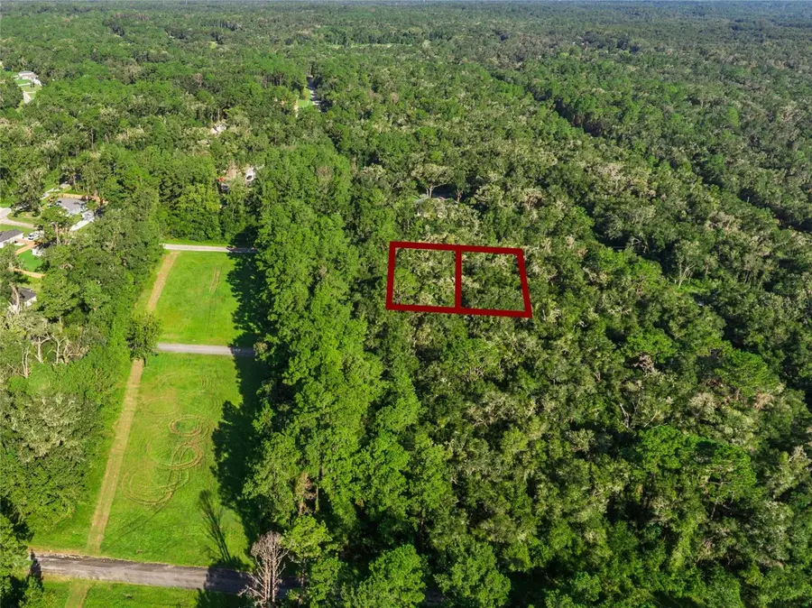 10075 N Bamboo Way, Citrus Springs, FL 34434 - #3