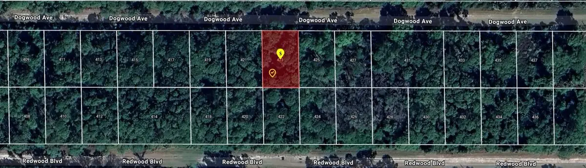 423 Dogwood Avenue, Georgetown, FL 32139 - #1