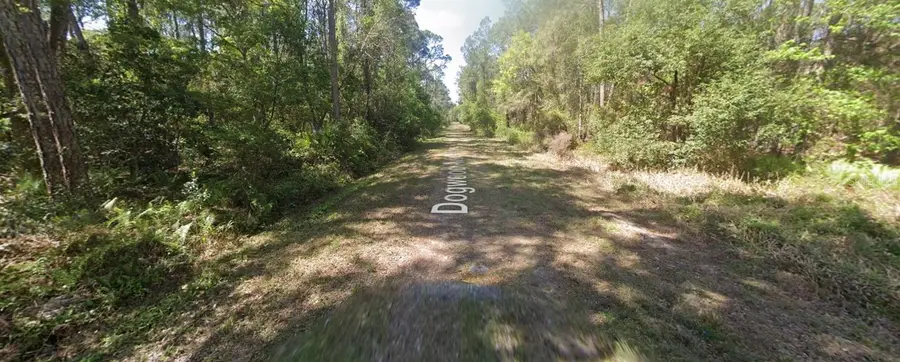 423 Dogwood Avenue, Georgetown, FL 32139 - #3