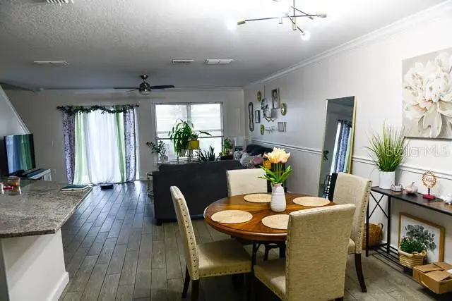 2607 Aventurine Street, Kissimmee, FL 34744 - #2