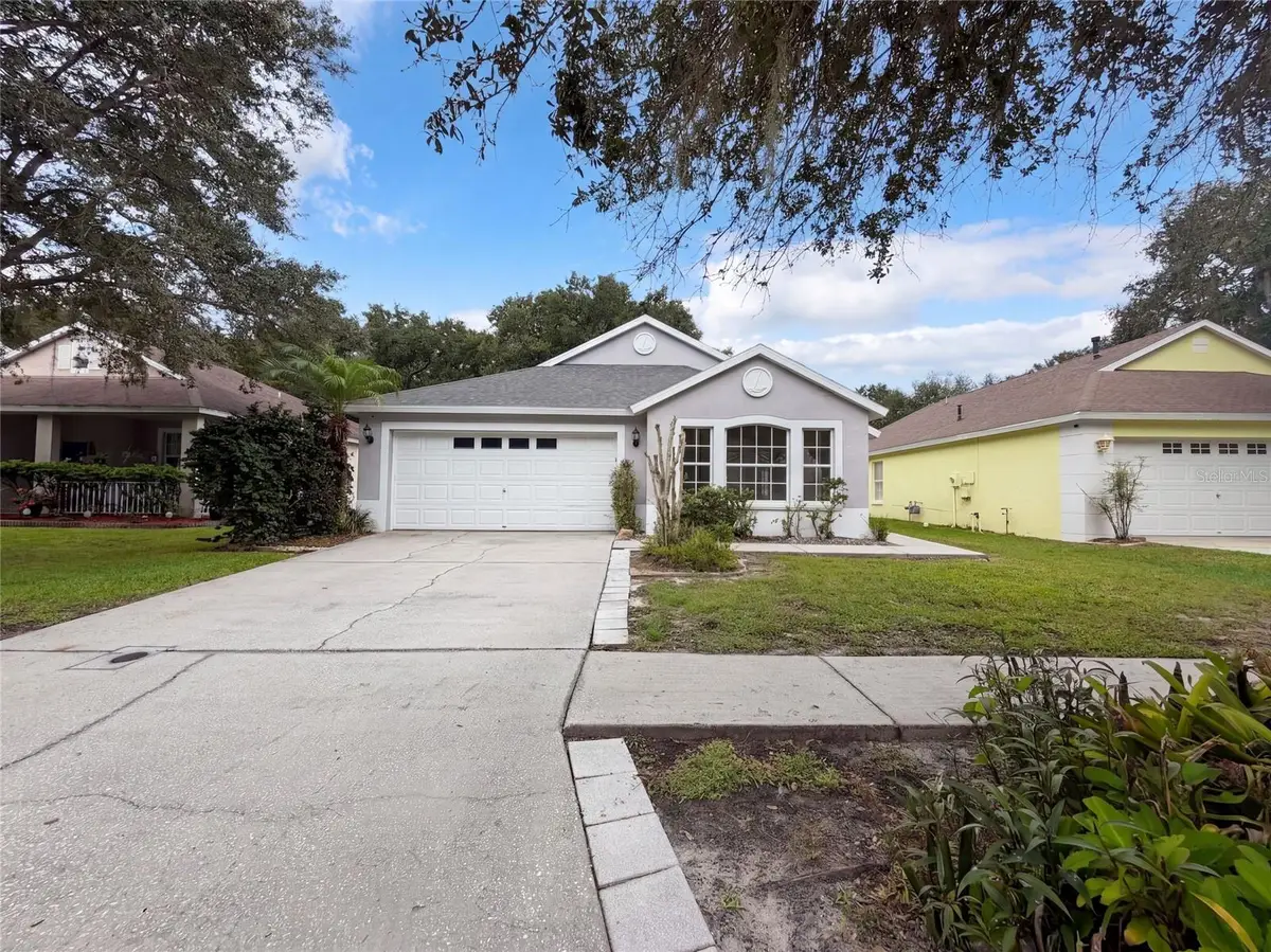 16005 Stags Leap Drive, Lutz, FL 33559 - #1