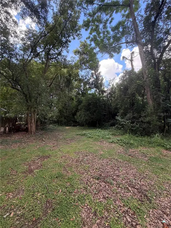 N Rhodes Street, MOUNT DORA, FL 32757