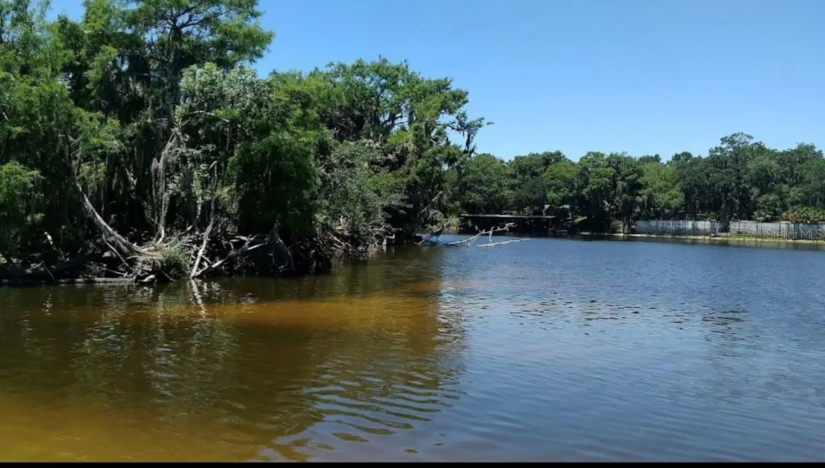 1041 Lemon Bluff Road, Osteen, FL 32764 - #1