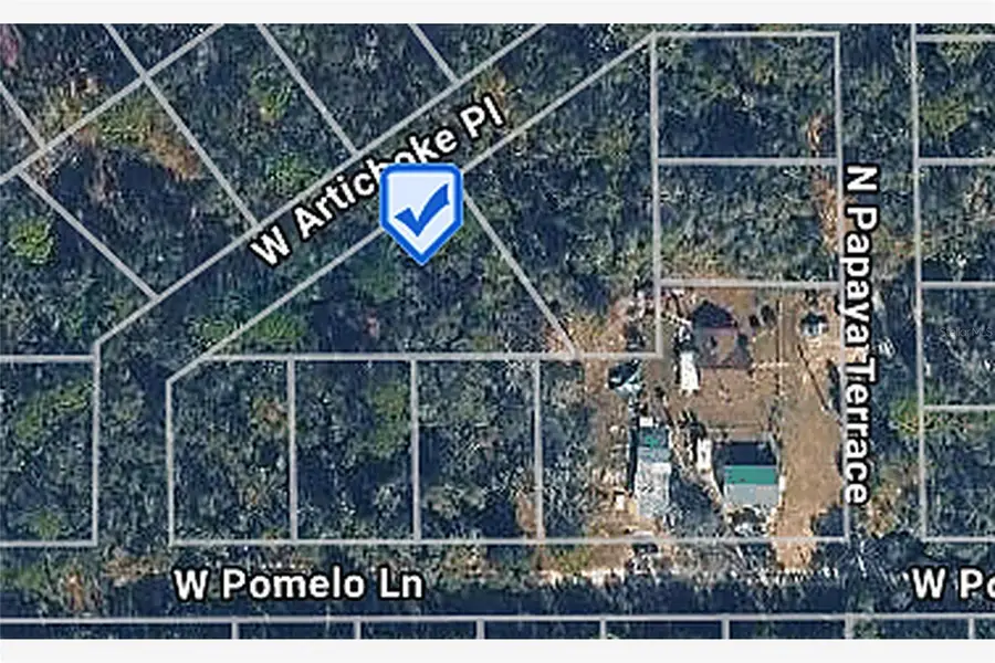 9662 W Artichoke Place, Crystal River, FL 34428 - #2