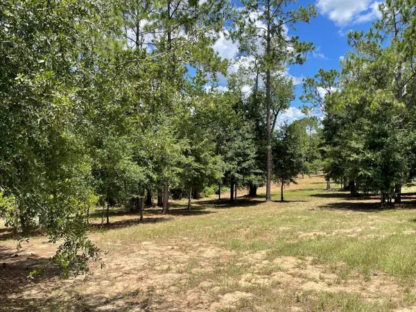 Calhoun Road, EUSTIS, FL 32726
