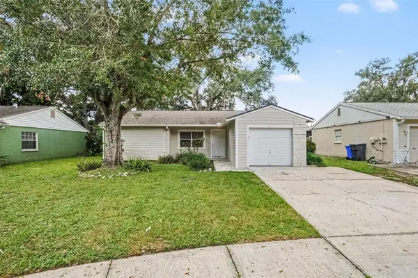 13904 Fullerton Drive, TAMPA, FL 33625