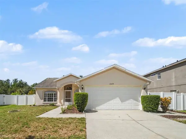 12659 Longcrest Drive, RIVERVIEW, FL 33579