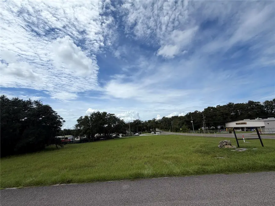 Laura Street, Sorrento, FL 32776 - #3