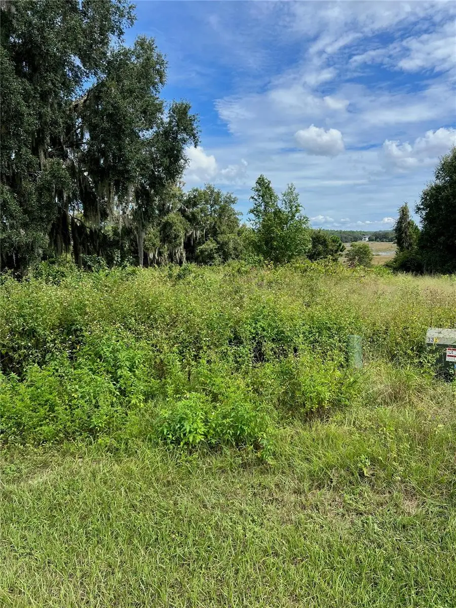 475 Long And Winding Road, Howey In The Hills, FL 34737 - #1