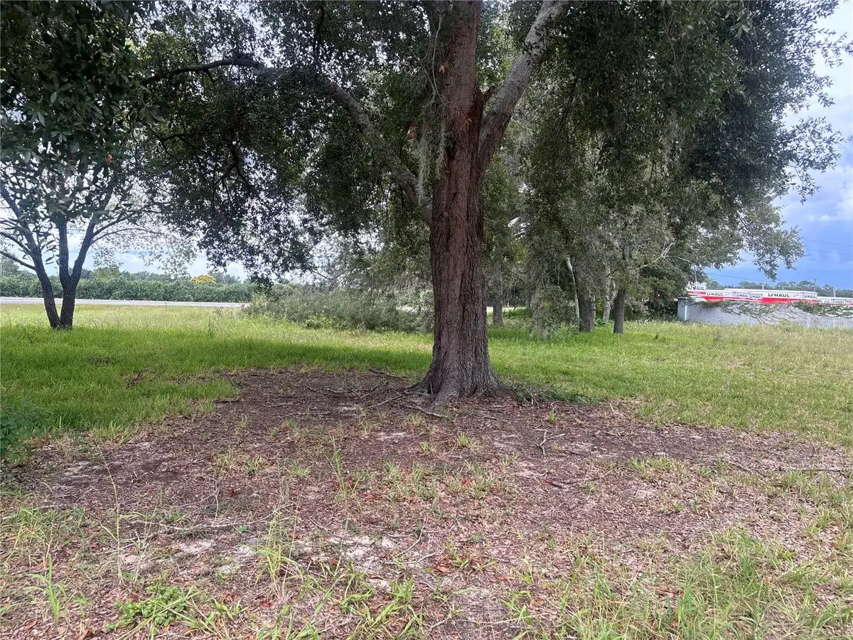 State Road 19, Tavares, FL 32778 - #1