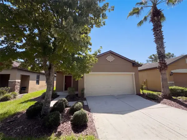 6308 Magnolia Park Boulevard, RIVERVIEW, FL 33578