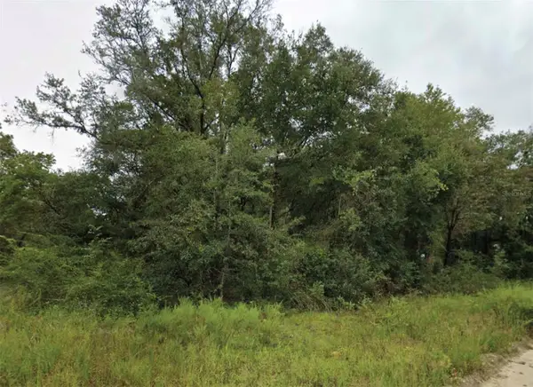 NE 2nd Place, WILLISTON, FL 32696