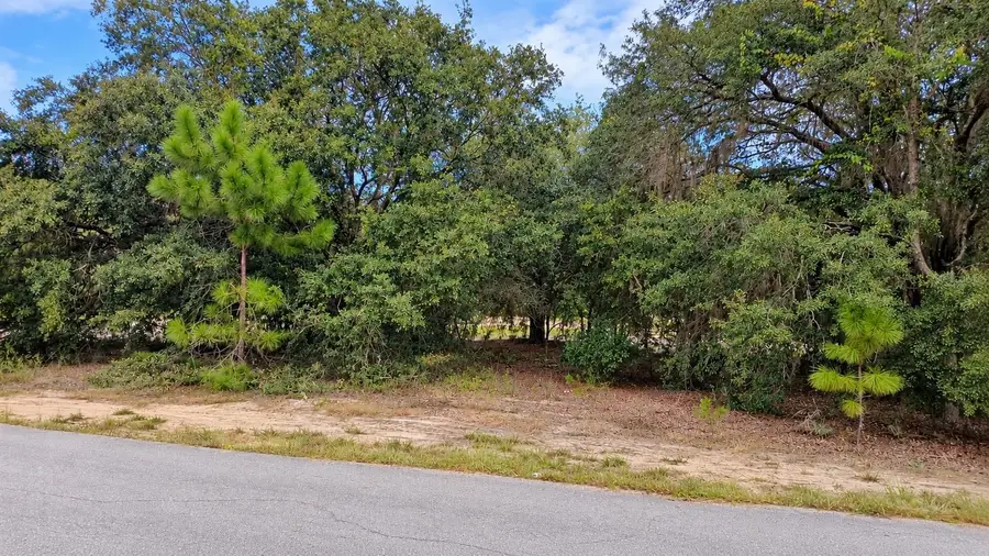 TBD SE Malauka Loop Run Road, Ocklawaha, FL 32179 - #2