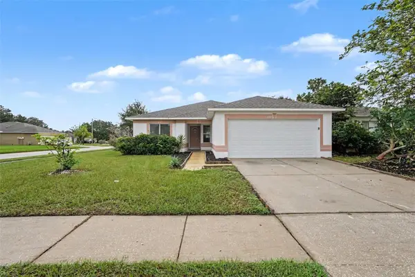 13245 Prestwick Drive, RIVERVIEW, FL 33579