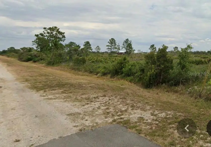 2842 W Butkus Road, Avon Park, FL 33825 - #3