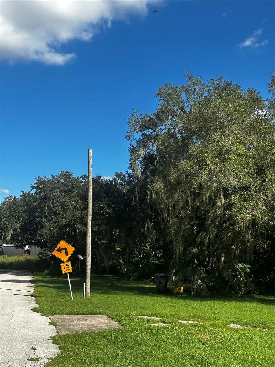 2180 2nd Street, Mulberry, FL 33860 - #2