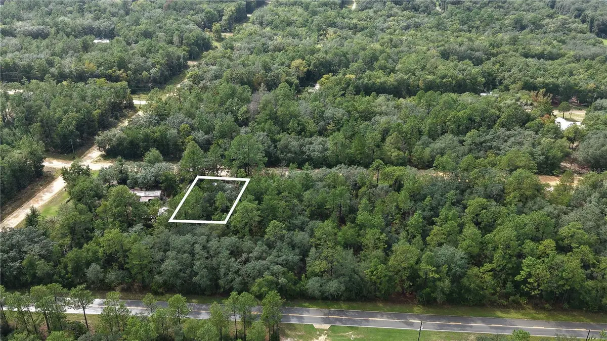 604 Del Monaco Ave, Interlachen, FL 32148 - #1