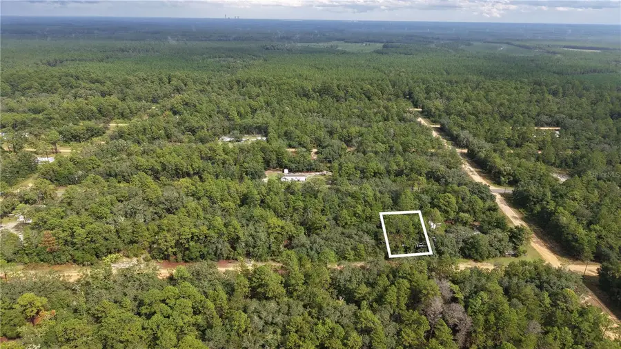 604 Del Monaco Ave, Interlachen, FL 32148 - #2