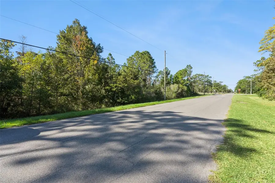 Quinella Street, Orlando, FL 32833 - #3