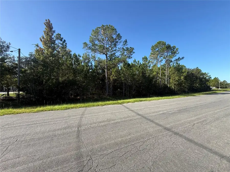 Reynolds Parkway, Orlando, FL 32833 - #3