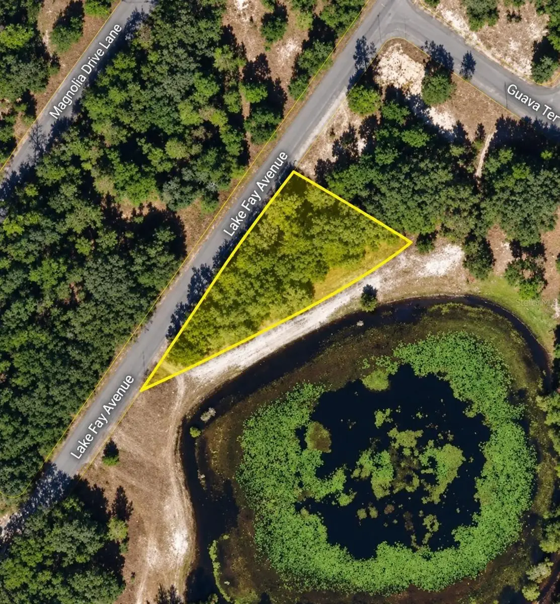 Undetermined, Ocklawaha, FL 32179 - #1