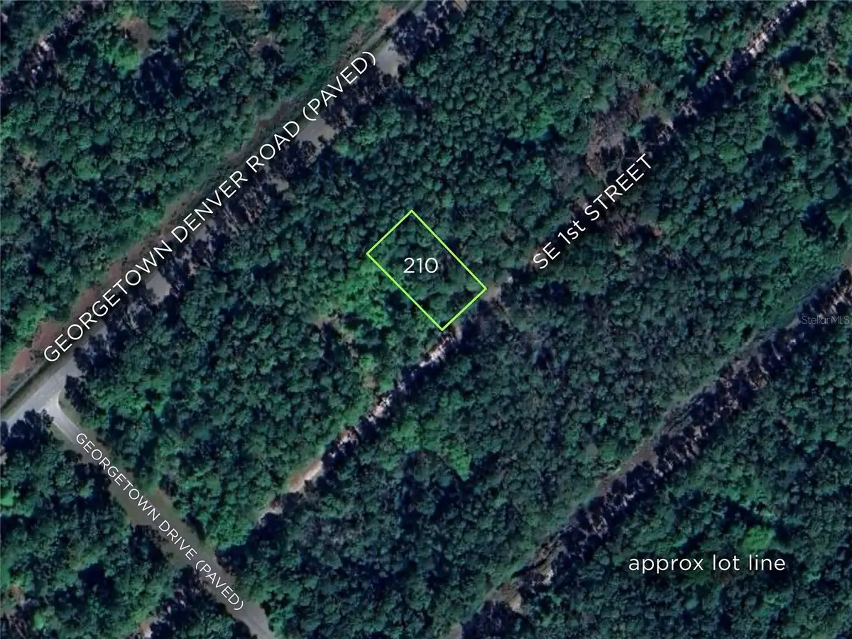 210 SE 1st Street, Georgetown, FL 32139 - #1