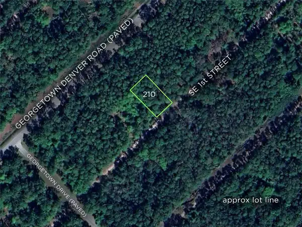 210 SE 1st Street, GEORGETOWN, FL 32139