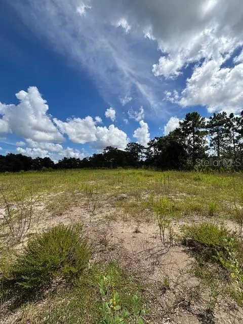 Babbitt Avenue, Orlando, FL 32833 - #3
