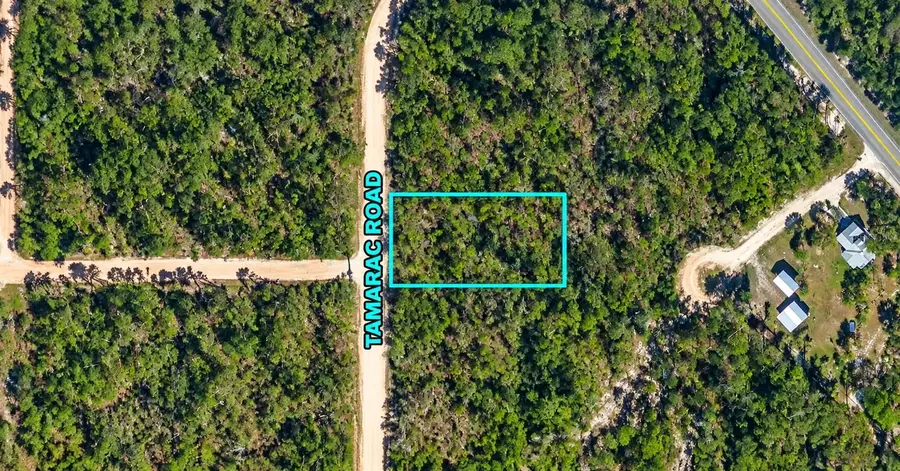 Tamarac Road, Marianna, FL 32448 - #2