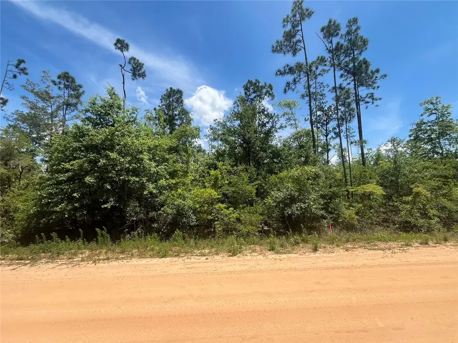 Tamarac Road, Marianna, FL 32448 - #3