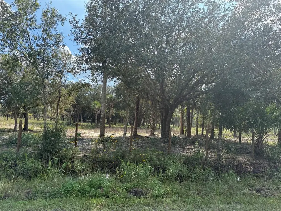 15838 NW 312th Street, Okeechobee, FL 34972 - Image #3