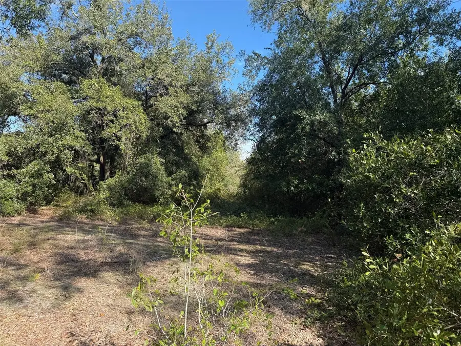 17129 NW 286th Street, Okeechobee, FL 34972 - Image #2