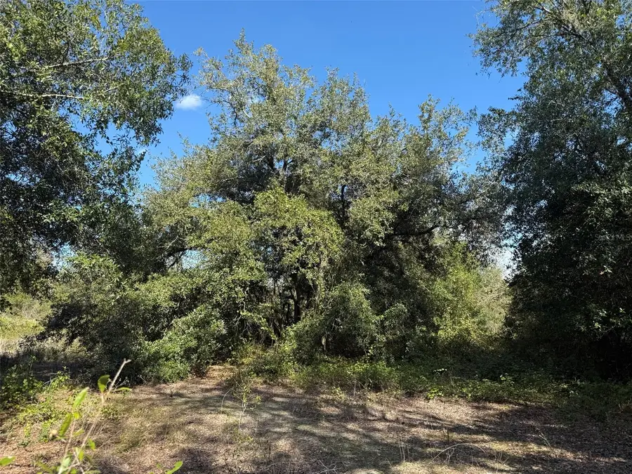 17129 NW 286th Street, Okeechobee, FL 34972 - Image #3