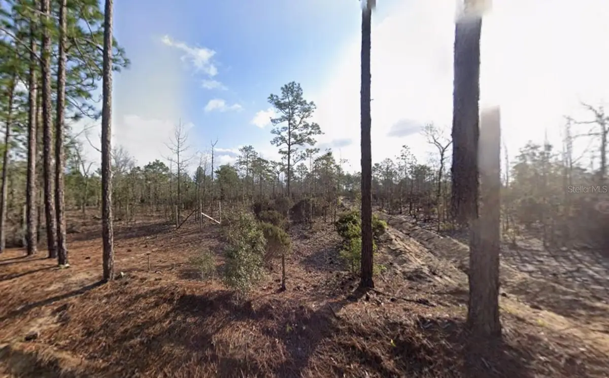 Tulip Avenue, Interlachen, FL 32148 - Image #1