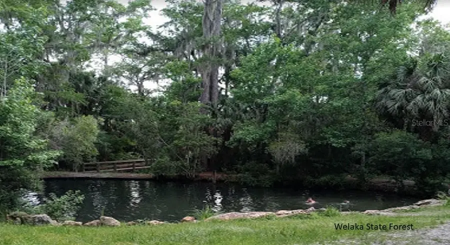 Park Avenue #78, Interlachen, FL 32148 - Image #2