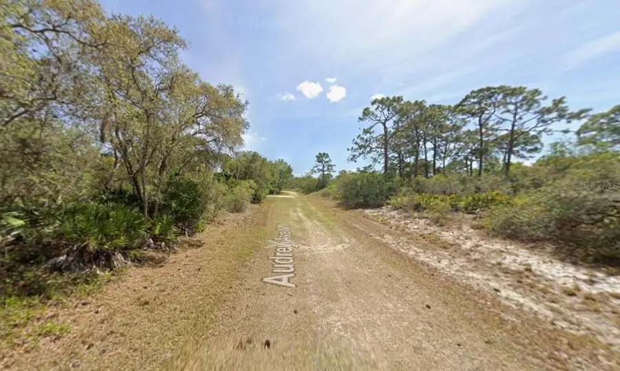 124 Audrey Avenue Nw, Lake Placid, FL 33852 - Image #2