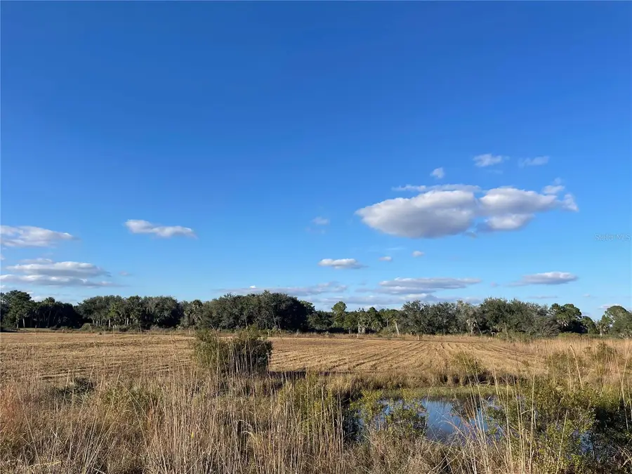 15729 NW 278th Street, Okeechobee, FL 34972 - Image #3