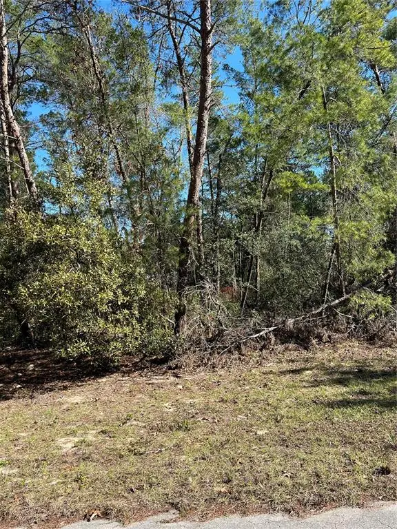 SW 55th Court Road, Ocala, FL 34473 - Image #1