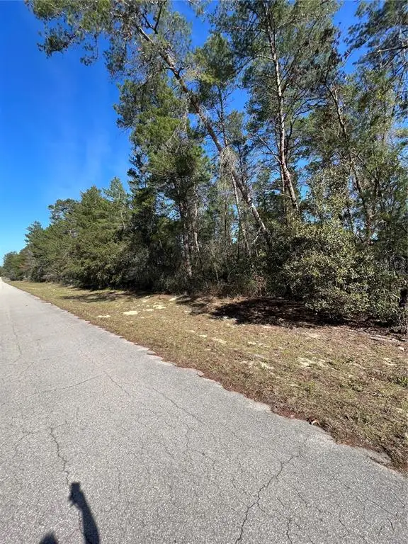 SW 55th Court Road, Ocala, FL 34473 - Image #3
