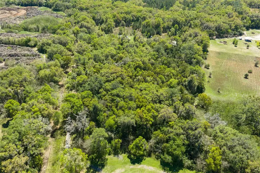 8644 NW 38th Avenue Road, Ocala, FL 34482 - #2