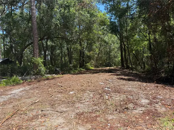 TBD NE 115 Avenue, FORT MC COY, FL 32134