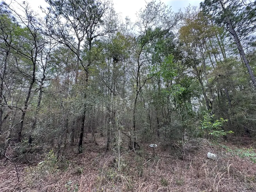 tbd NE 154th Avenue, Williston, FL 32696 - Image #3