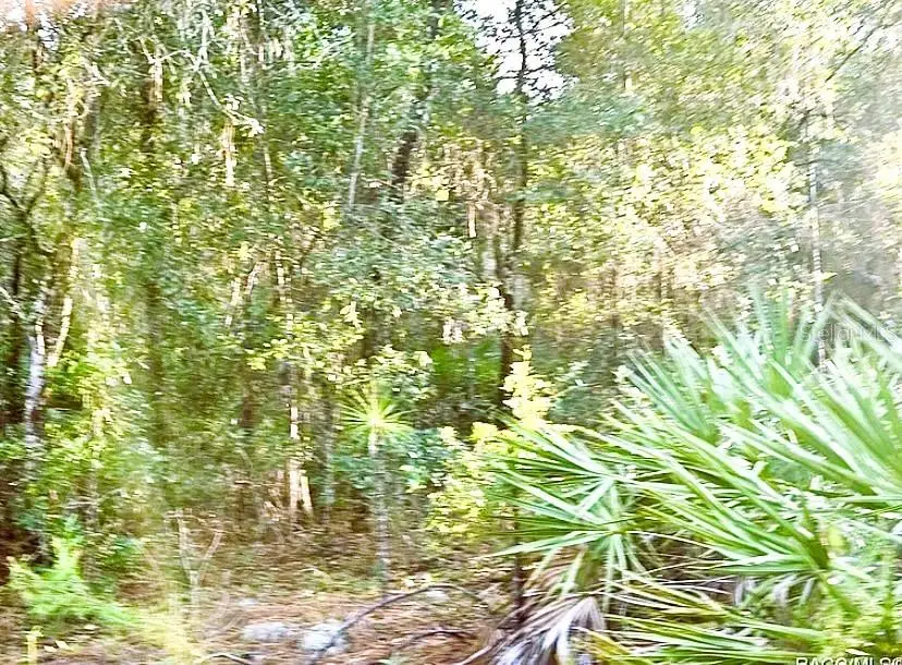 #3